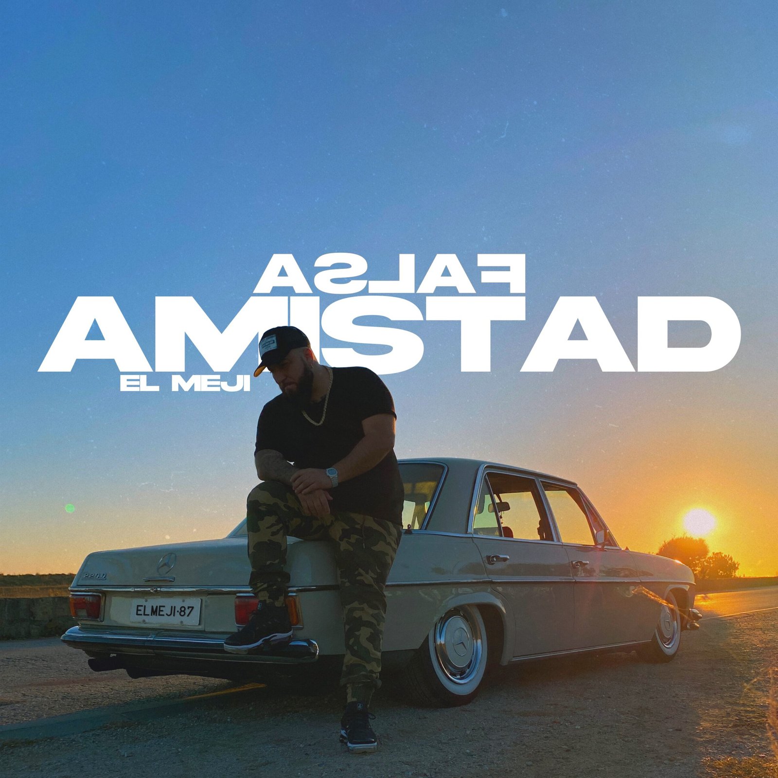 portada_falsa_amistad-scaled